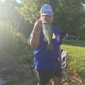 Meet your Posher, Dylan